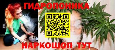 мяу мяу мука Малоярославец