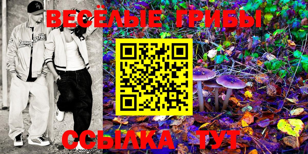 Галлюциногенные грибы MAGIC MUSHROOMS  Вход с VPN  Сухой Лог 